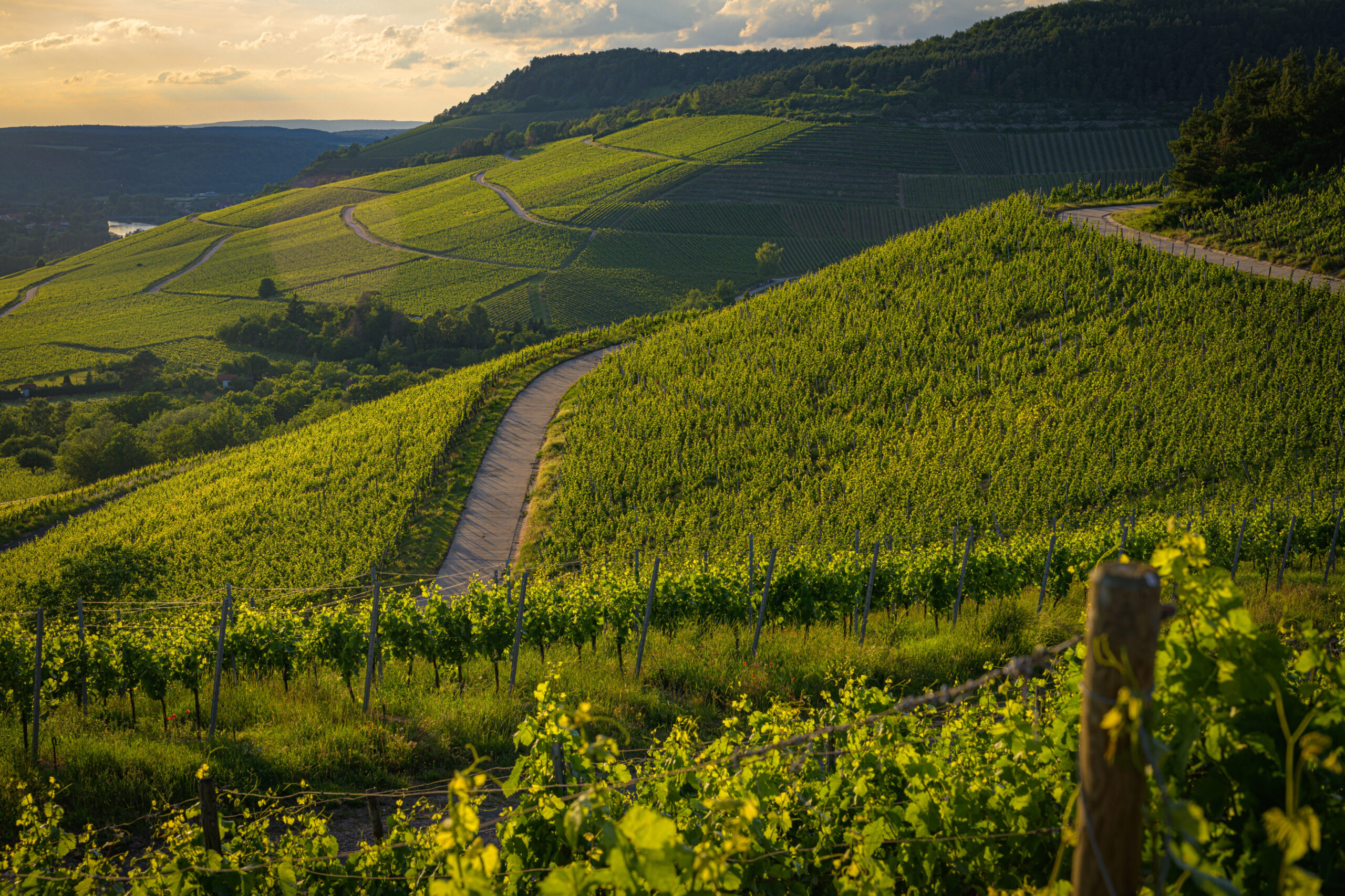 5 Ways Nature-Inspired Stays Improve Your Wellbeing